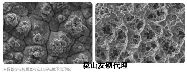 兴安蔡司兴安扫描电镜